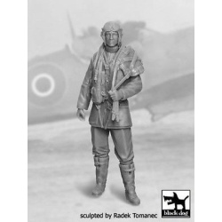 RAF Fighter Pilot 1940-1945...