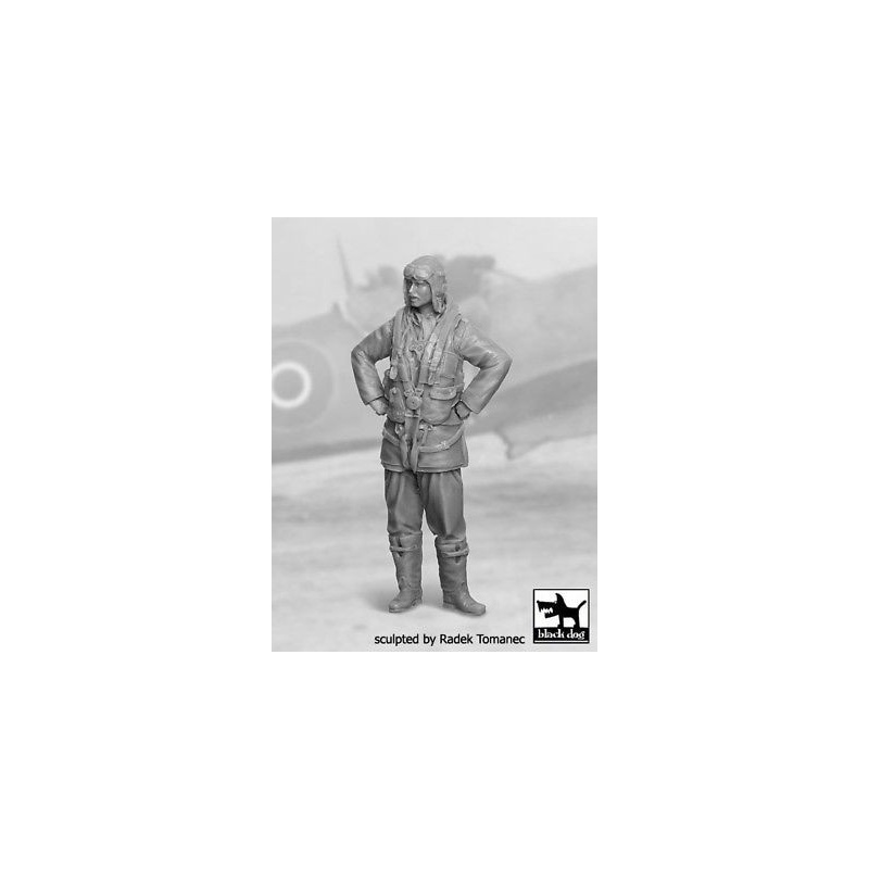 RAF Fighter Pilot 1940-1945 N°2  cat.n.: F32029 , BLACK DOG, 1:32