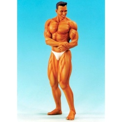 SOL RESIN FACTORY, SCALE 1/9, Body Builder "Man" , cat.no.C433