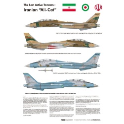 Wolfpack WD32006, The Last Active Tomcats - Iranian "Alicat" (F-14A), SCALE 1/32