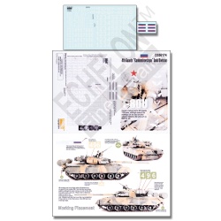 ECHELON FD D356174, 1/35 Decals for 4th Guards T-80U