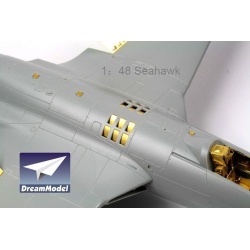 Grumman F-14D Tomcat (FOR HASEGAWA ), DM2008-1, Dream Model, 1:48
