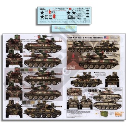 ECHELON FD D356270, 1/35 Decals for M551A1 TTSs in OP JUST CAUSE, UPHOLD DEMOCR