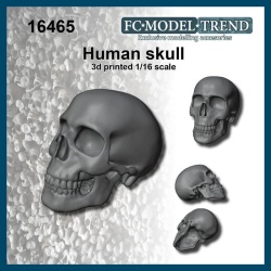 FC MODEL TREND 16465, Human skull, 3d printed , 1/16