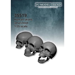 FC MODEL TREND 35519, Human skulls, 3d printed, 1/35