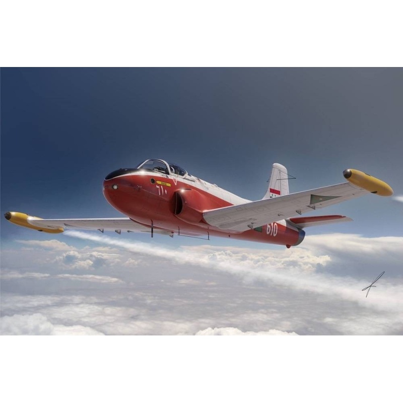 JET PROVOST T.51/52 - British aircraft, FLY 48038, SCALE 1/48